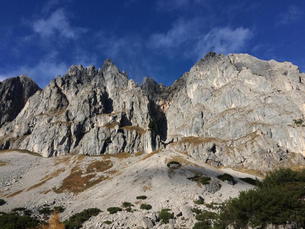 Ferienwohnung "Mein Alpenjuwel" Filzmoos Εξωτερικό φωτογραφία